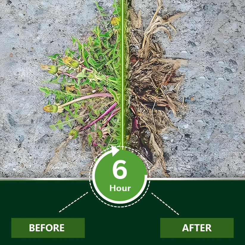 š Official WeedVanceĀ® Store | ā” Visible Results in Just Hours with 2-in-1 Max Power Herbicide
