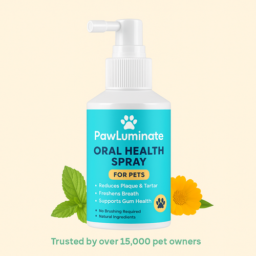 ✨ PawLuminate™ – The Vet-Trusted Way to Brighten Your Pet’s Smile 2
