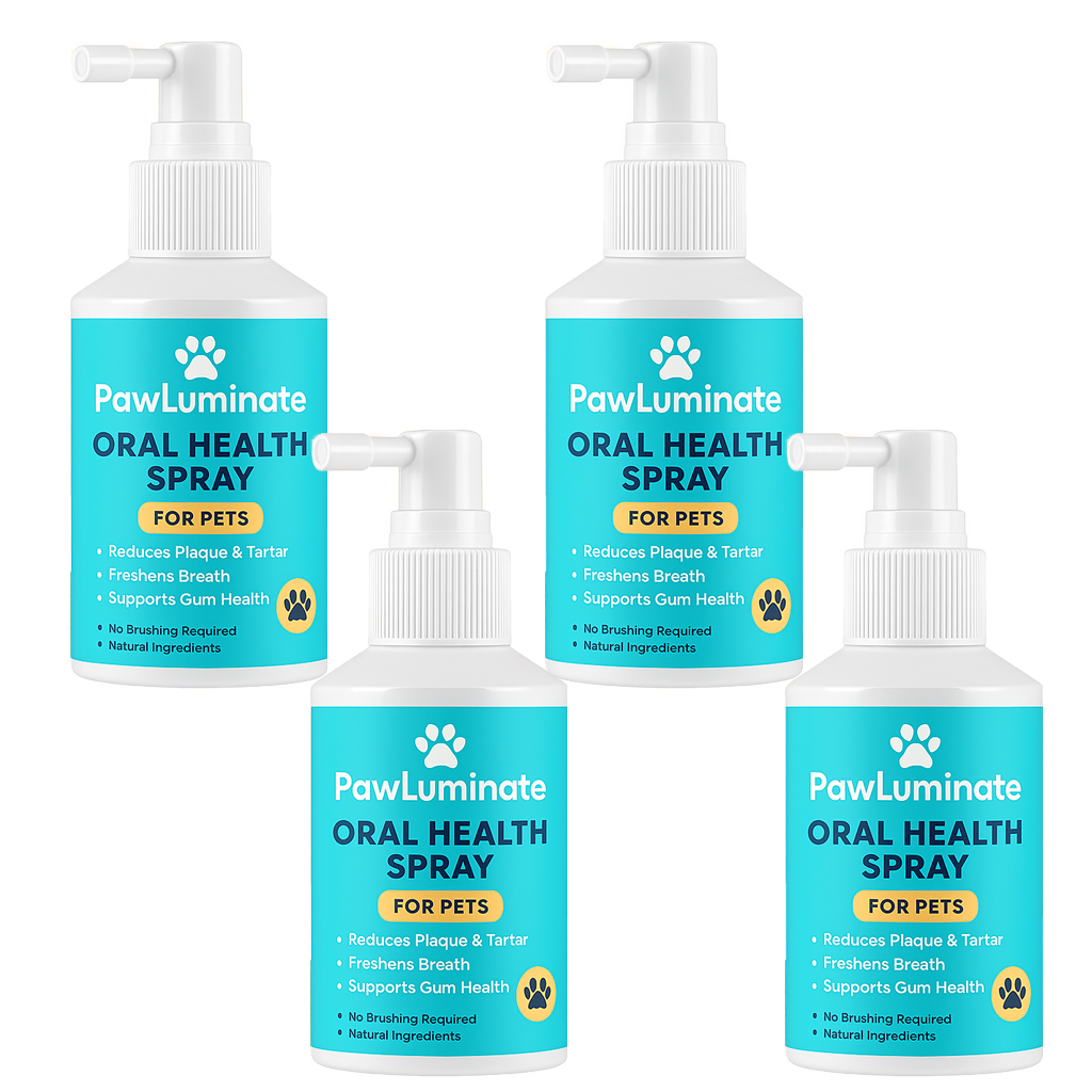 ✨ PawLuminate™ – The Vet-Trusted Way to Brighten Your Pet’s Smile 2