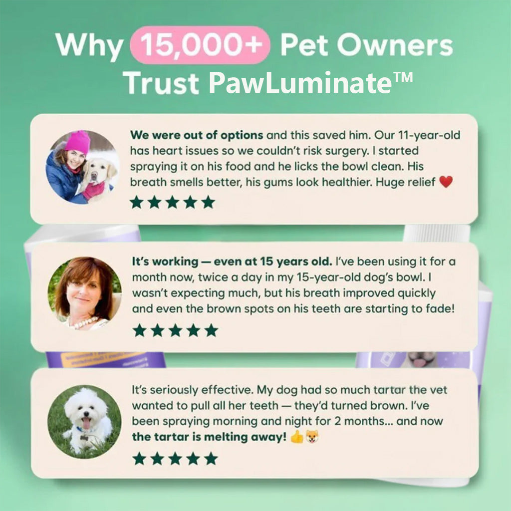 ✨ PawLuminate™ – The Vet-Trusted Way to Brighten Your Pet’s Smile 2