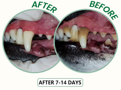 ✨ PawLuminate™ – The Vet-Trusted Way to Brighten Your Pet’s Smile 2