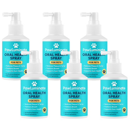 ✨ PawLuminate™ – The Vet-Trusted Way to Brighten Your Pet’s Smile 2