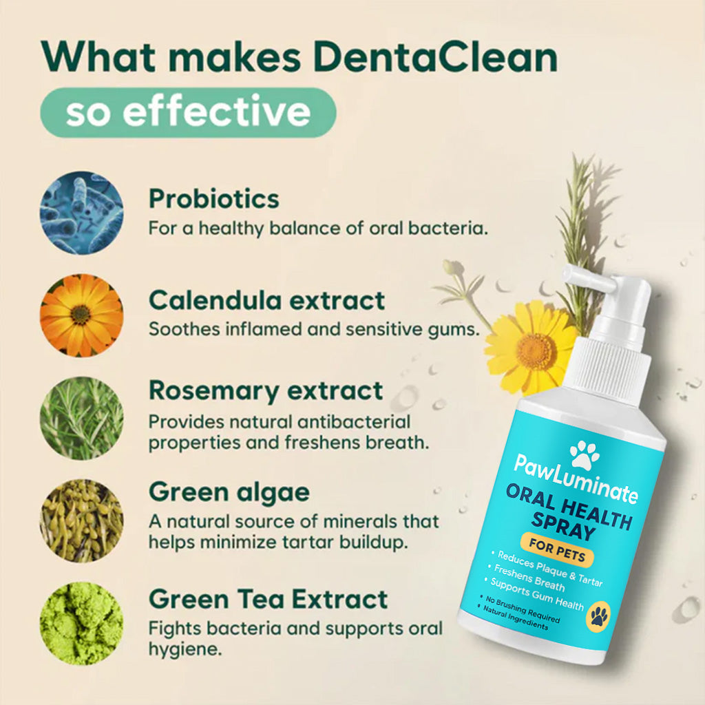 ✨ PawLuminate™ – The Vet-Trusted Way to Brighten Your Pet’s Smile 2