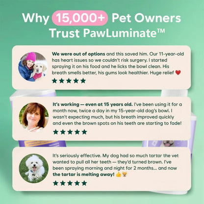✨ PawLuminate™ – The Vet-Trusted Way to Brighten Your Pet’s Smile 2
