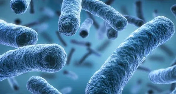 ✨ PawLuminate™ – The Vet-Trusted Way to Brighten Your Pet’s Smile 2