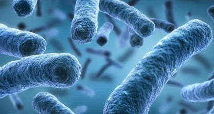 ✨ PawLuminate™ – The Vet-Trusted Way to Brighten Your Pet’s Smile 2