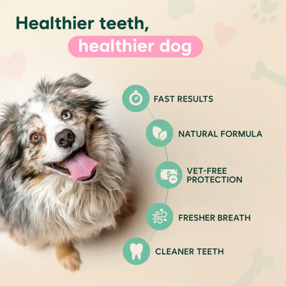 ✨ PawLuminate™ – The Vet-Trusted Way to Brighten Your Pet’s Smile 2